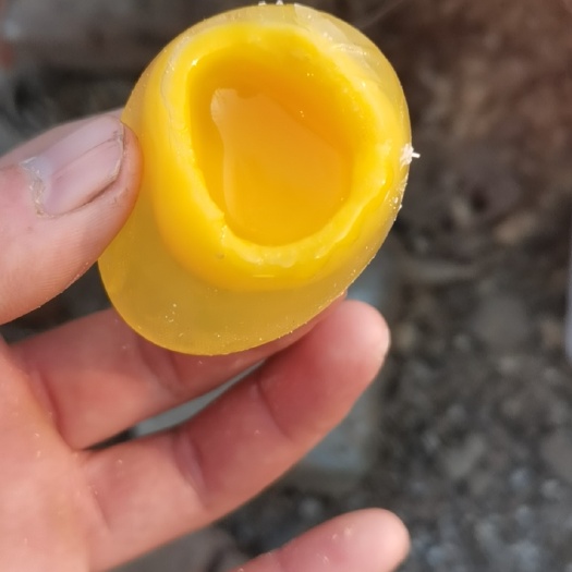 商水县溏心皮蛋  溏心鸡皮蛋 中原蛋品合作社