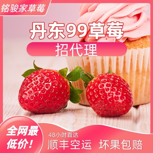 东港市丹东九九草莓 电商微商直供需要提前联系