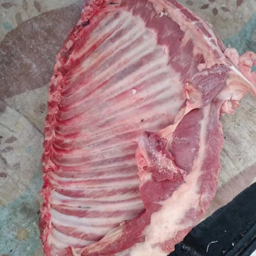 天津羔羊排