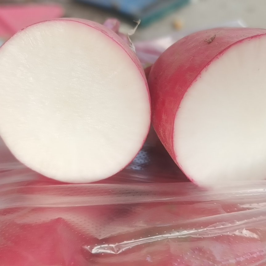 精品红萝卜