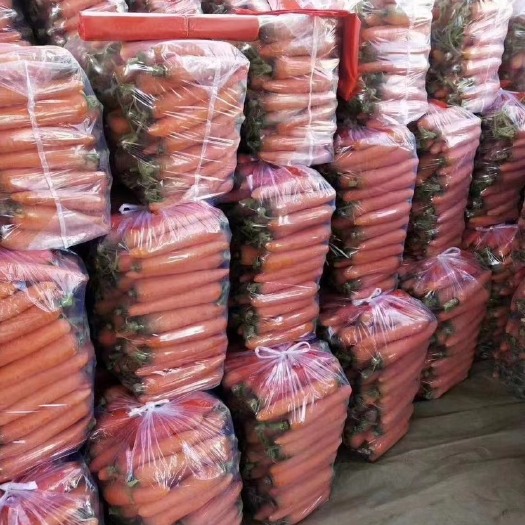开封开封沙地三红胡萝卜