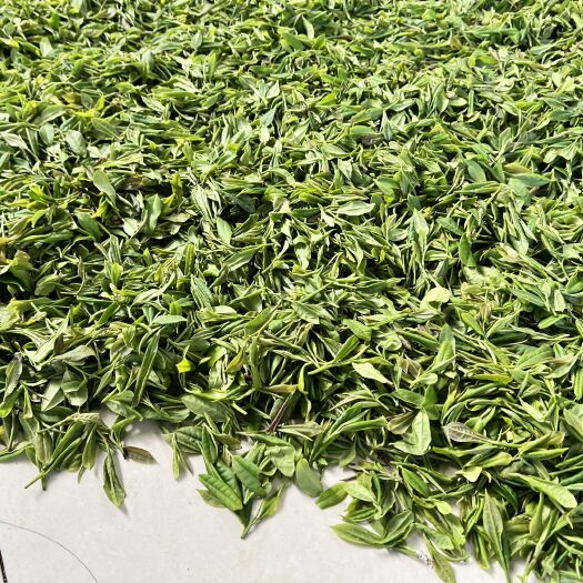 商南县正宗秦岭商南毛尖毛峰云雾春茶
