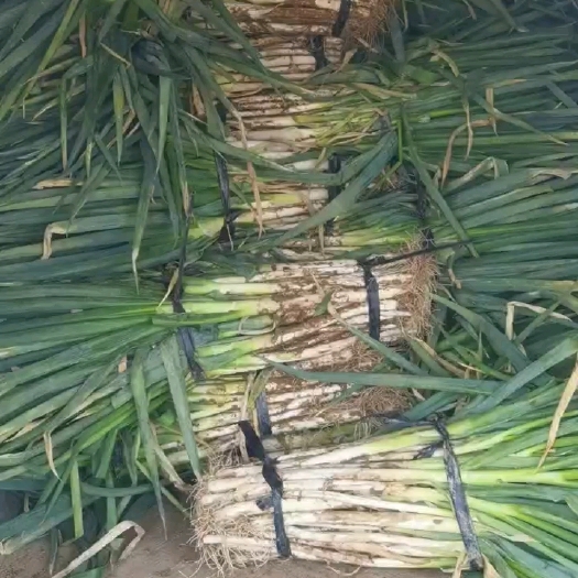 永宁县以图片为准，欢迎前来选购