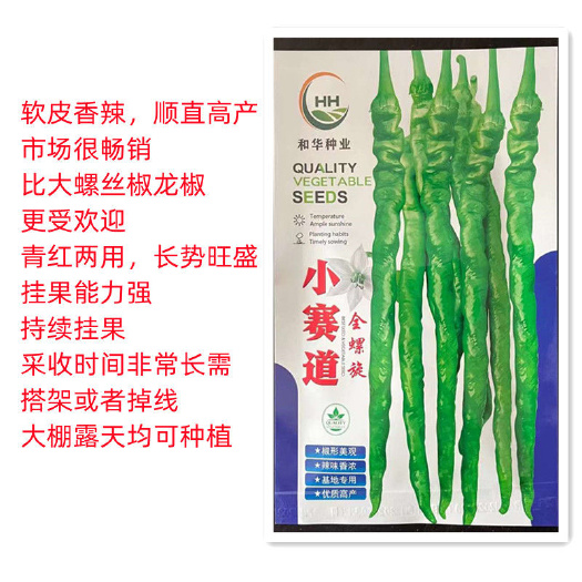 沭阳县小赛道全螺旋螺丝椒长线辣椒种子长果早熟辣味浓抗病性强基地种孑