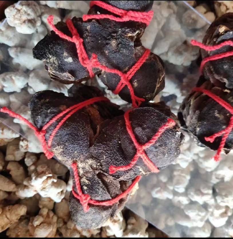 陈皮 老陈皮 味道浓新会陈皮