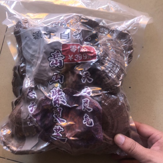 惠州真空包装灵芝！粉灵芝！优惠灵芝！产地直批灵芝