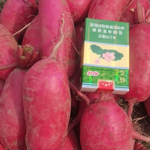 当阳市精品红萝卜