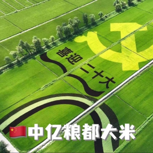 中亿粮都生物科技大米：208种农残未检出，五种重金低于国标。