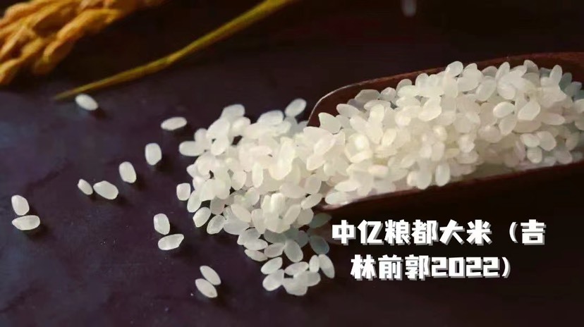 生物科技大米及深加工产品