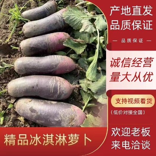 潍坊冰激凌萝卜，口感脆，汁水多，甜度高。