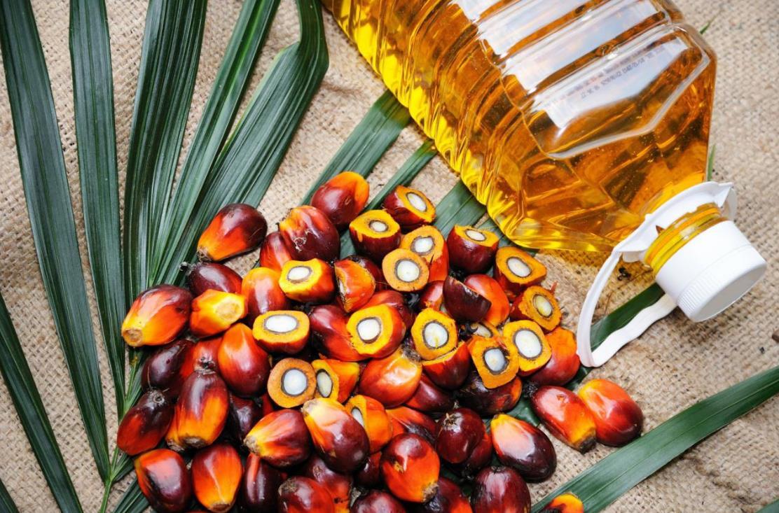 北京马来西亚产地棕榈油