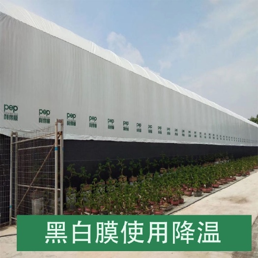佛山pep利得膜，大棚膜，透明膜，食用菌大棚膜，