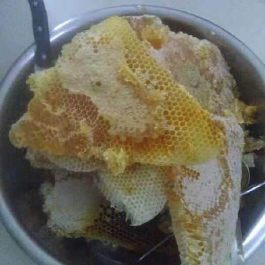 乐业县专业养蜂户蜂蜜批发零售