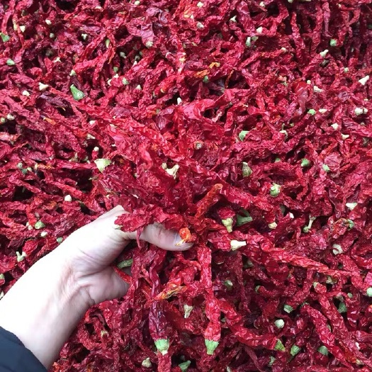 茶陵县精品无把干红辣椒皱皮辣子