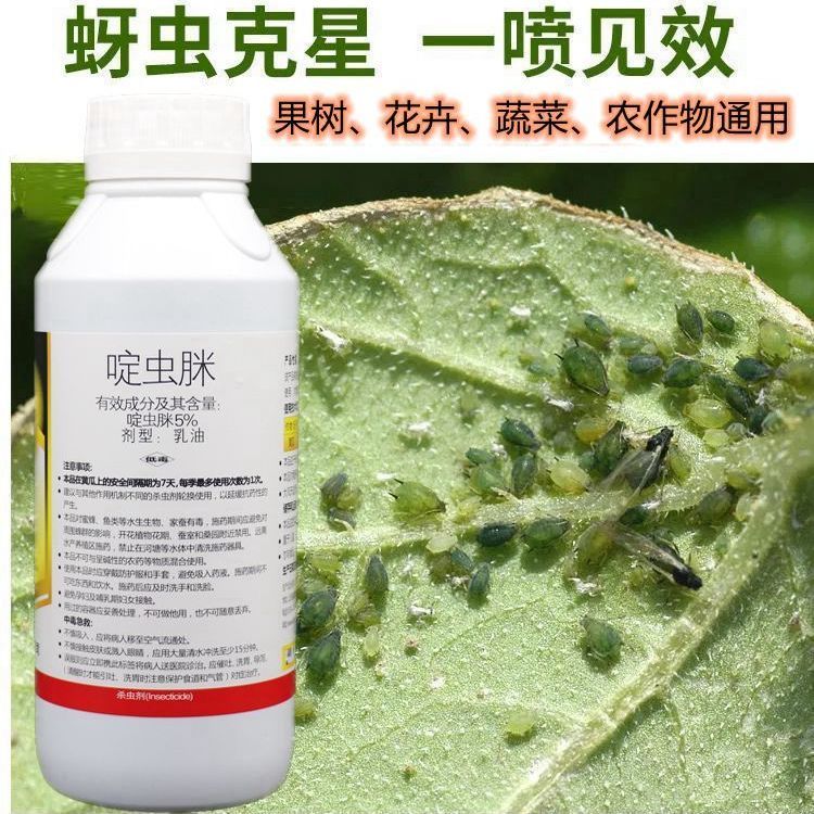 澳得利金關(guān)5%啶蟲脒棉花辣子果樹蚜蟲薊馬白粉虱專用殺蟲藥劑批