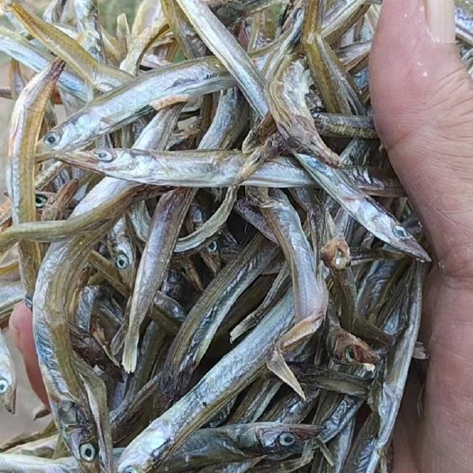 银鱼干 银针鱼干 生晒银针 熟银针鱼 淡口