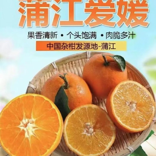 蒲江县接电商.微商.直播平台.一件代发