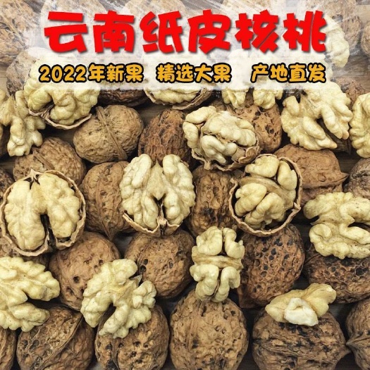 云南核桃大理纸皮核桃薄壳核桃老树核桃山核桃