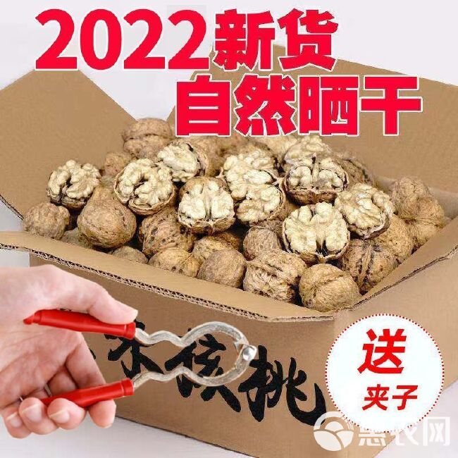 2022年新货云南核桃大理纸皮核桃薄壳核桃老树核桃山核桃