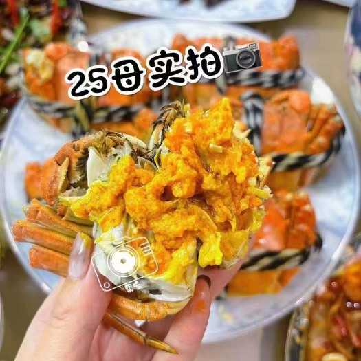潜江市湖北精品大闸蟹2.5母 各大规格都有 支持批发 零售。礼盒装