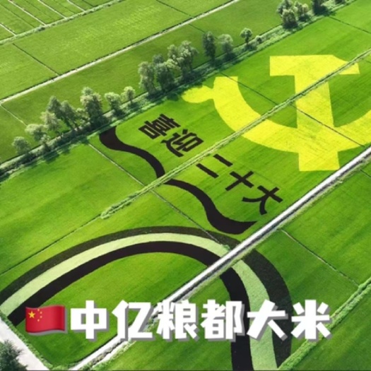 中亿粮都大米生物科技全产业链，普尼检测208项农残未检出。