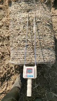 阳原县玉米秸秆