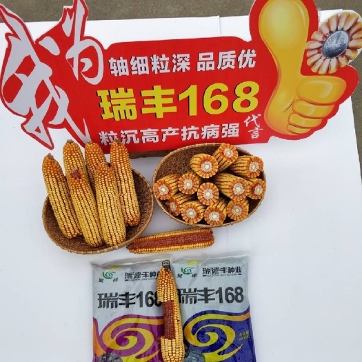 哈尔滨瑞丰168