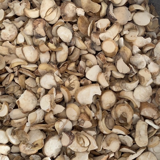 鄄城县浙贝 贝母 浙贝母片 大贝片 无硫质量保证