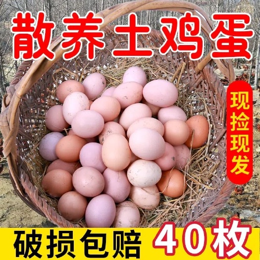 土鸡蛋农家散养新鲜土鸡蛋散养农村五谷喂养柴鸡蛋草鸡蛋笨鸡蛋
