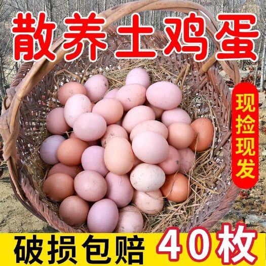 临沭县土鸡蛋农家散养新鲜土鸡蛋散养农村五谷喂养柴鸡蛋草鸡蛋笨鸡蛋