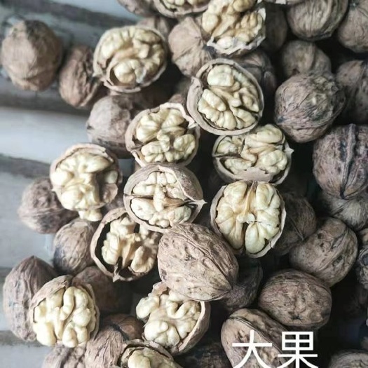 盐源县热销干核桃大优一号产地直销
