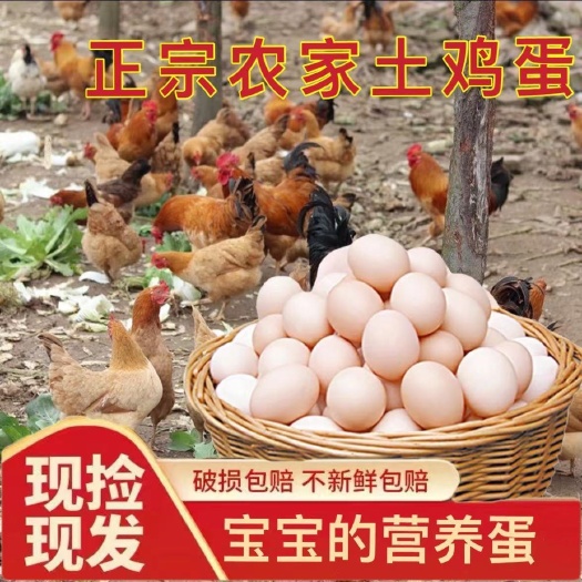 土鸡蛋散养农家新鲜土鸡蛋散养农村笨鸡蛋草鸡柴鸡蛋整箱包邮