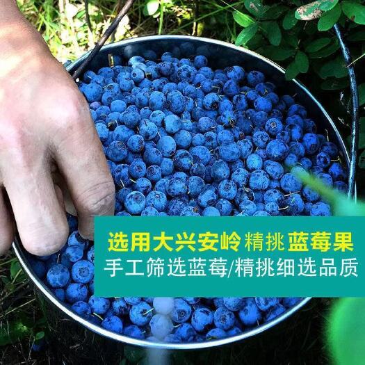 灯塔市【无糖】大兴安岭野生蓝莓干无糖渍烘焙孕妇蓝梅干果零食