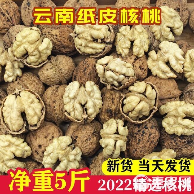 2022年新货云南核桃大理纸皮核桃薄壳核桃老树核桃山核桃