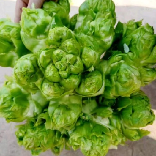 精品儿菜大量有货，需要的联系我