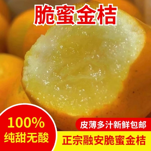 广西金桔脆密金柑(脆密金桔),皮薄汁多清甜爽口