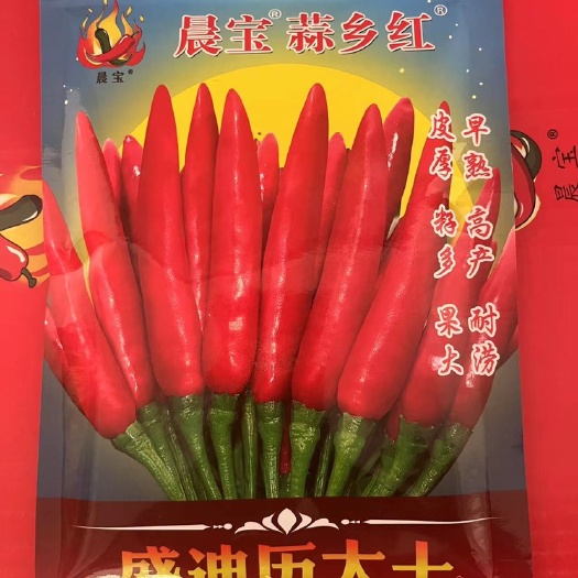 沭阳县蒜乡红朝天椒种子 抗病强 易坐果 高产朝天椒种子