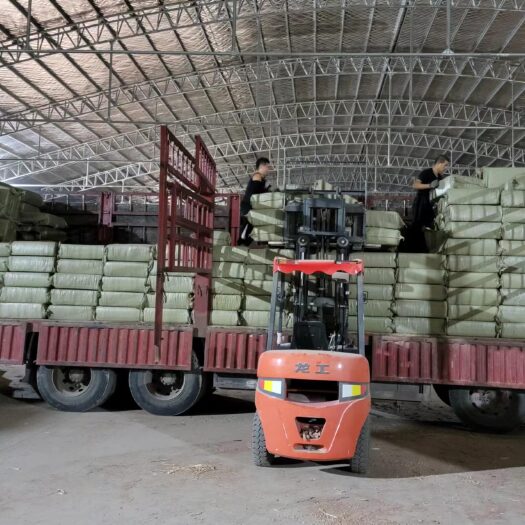 博兴县压缩定量包装 根据客户需要加工生产 货品质量保证 颜色 水分