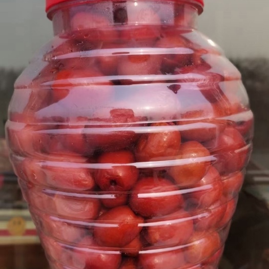 沧州金丝小枣醉枣4斤