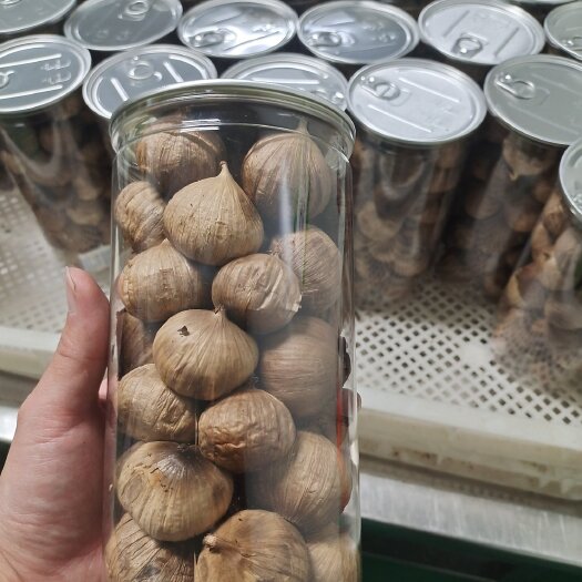 金乡县金乡独头黑蒜 发酵黑蒜 产地批发 一件代发