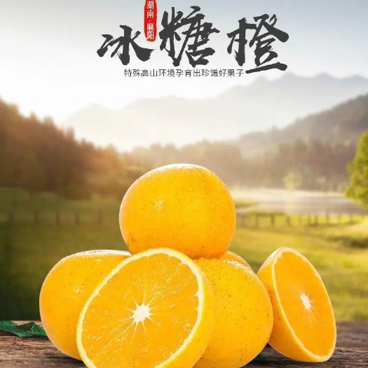 麻阳县麻阳冰糖橙