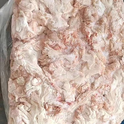 烟台猪花油