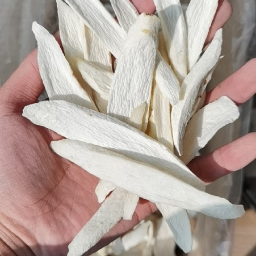 山药鲜切片 河南焦作铁棍山药干货 广山药 食用新货山药片