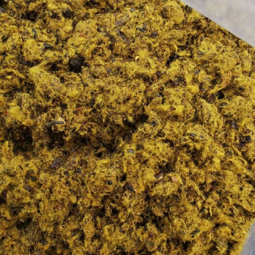 全脂膨化棉籽（肉牛养殖的好饲料）选用新疆脱绒棉籽