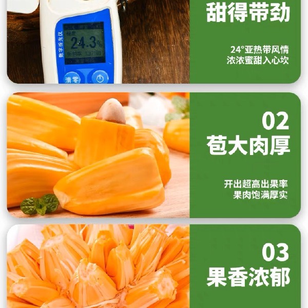 红肉菠萝蜜一整个新鲜应季水果泰8红肉菠萝蜜