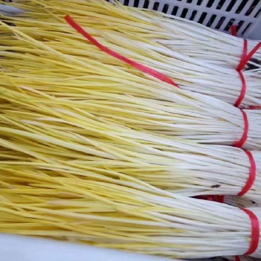 莱西市精品蒜黄