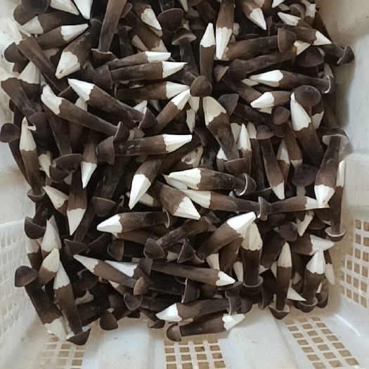 黑皮鸡枞菌基地直发，全年全国发货