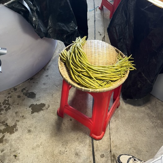 合浦县精品全型泡豇豆