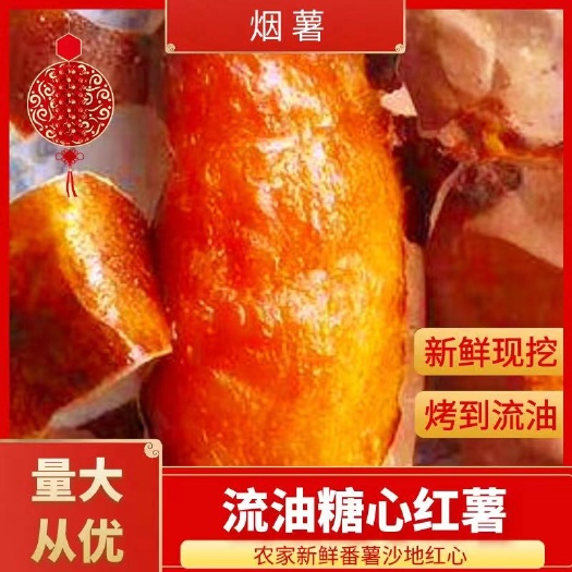 烟薯25流油糖心红薯烤地瓜农家新鲜番薯沙地红心山芋