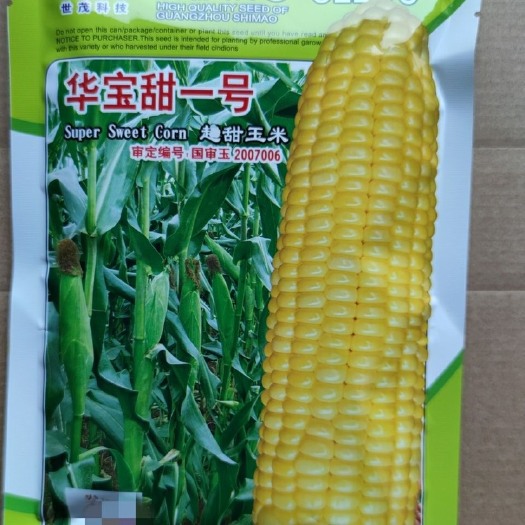 广州包邮  华宝甜一号超甜玉米200克甜度高皮薄 杂交一代品种